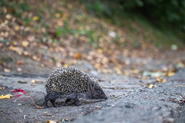 繁琐步骤 繁琐步骤