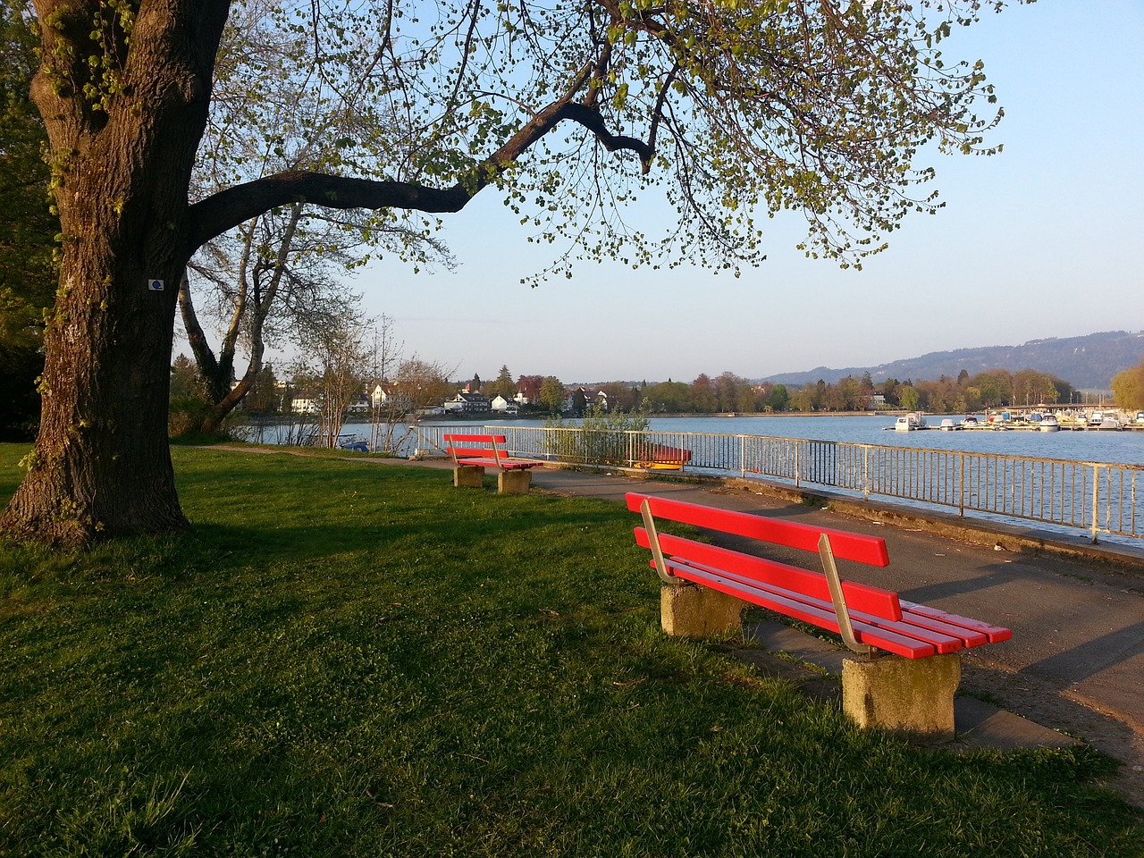 来在国内联 来在国内联