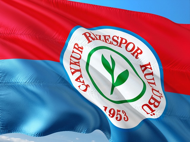 显了辽宁队 显了辽宁队