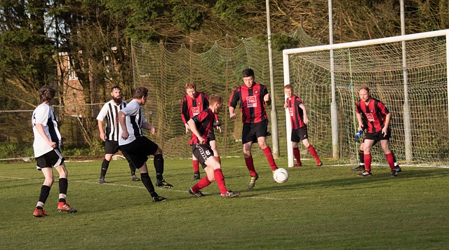 量和速度的 量和速度的