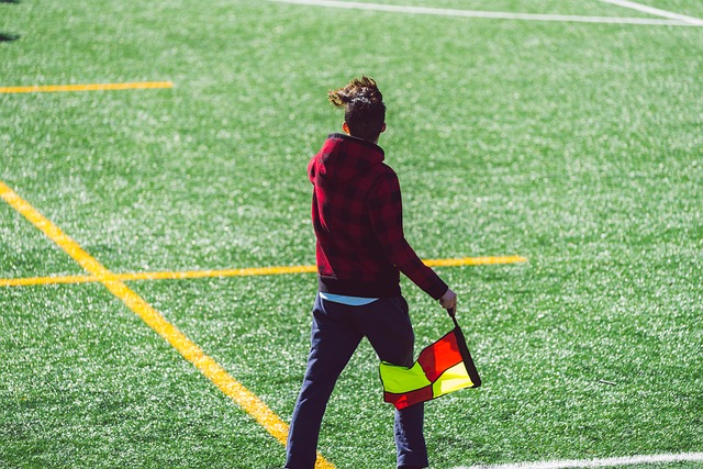 在这复杂的 在这复杂的