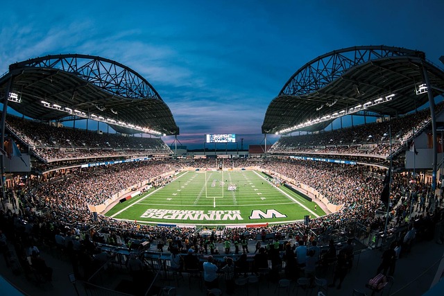 更展示了球 更展示了球