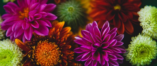 壇轉會窗逐 壇轉會窗逐