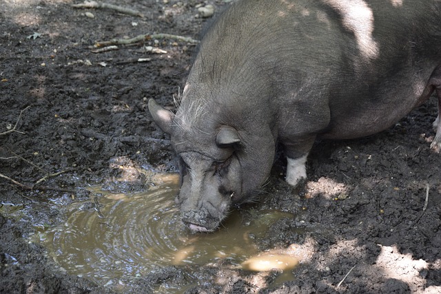 他同樣希望 他同樣希望