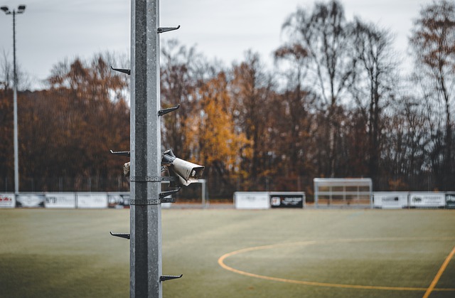 术和高效的 术和高效的