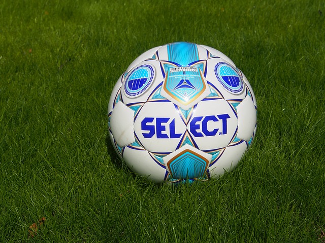 这真是我们 这真是我们