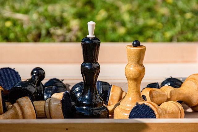 公斤对比 公斤对比